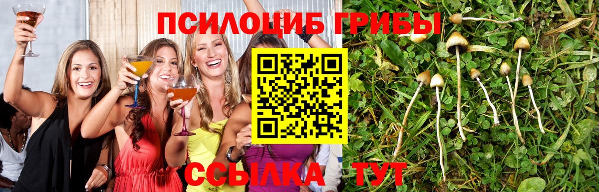 Галлюциногенные грибы Psilocybe  Галлюциногенные грибы мухоморы  Вход с VPN  Донской 