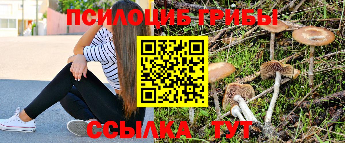 Галлюциногенные грибы Magic Shrooms Донской